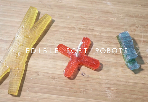 Edible soft robots her high school students created using gummy bears.